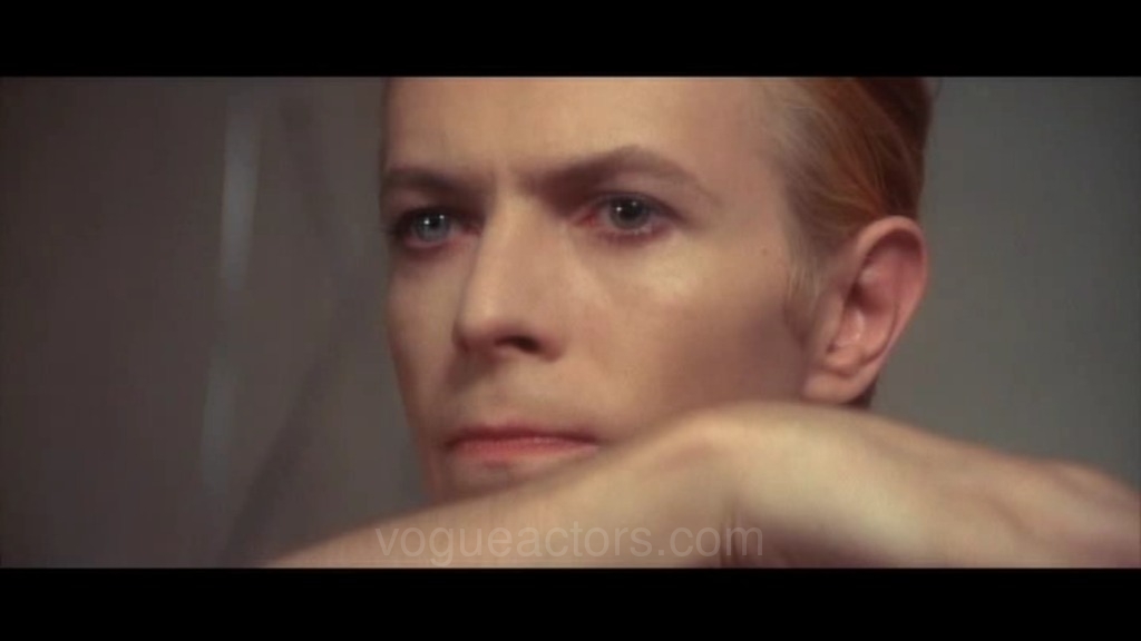 The Man Who Fell to Earth